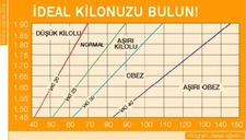 Kitle Boy Endeksi Kitle Endeksi Aralıkları